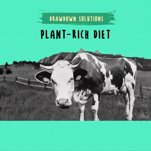 plant-rich-diet