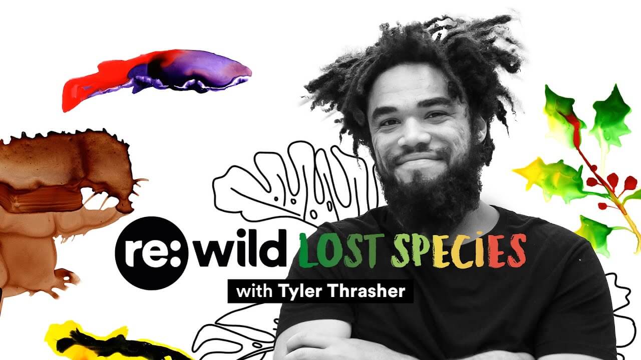 Re:wild | Lost Species