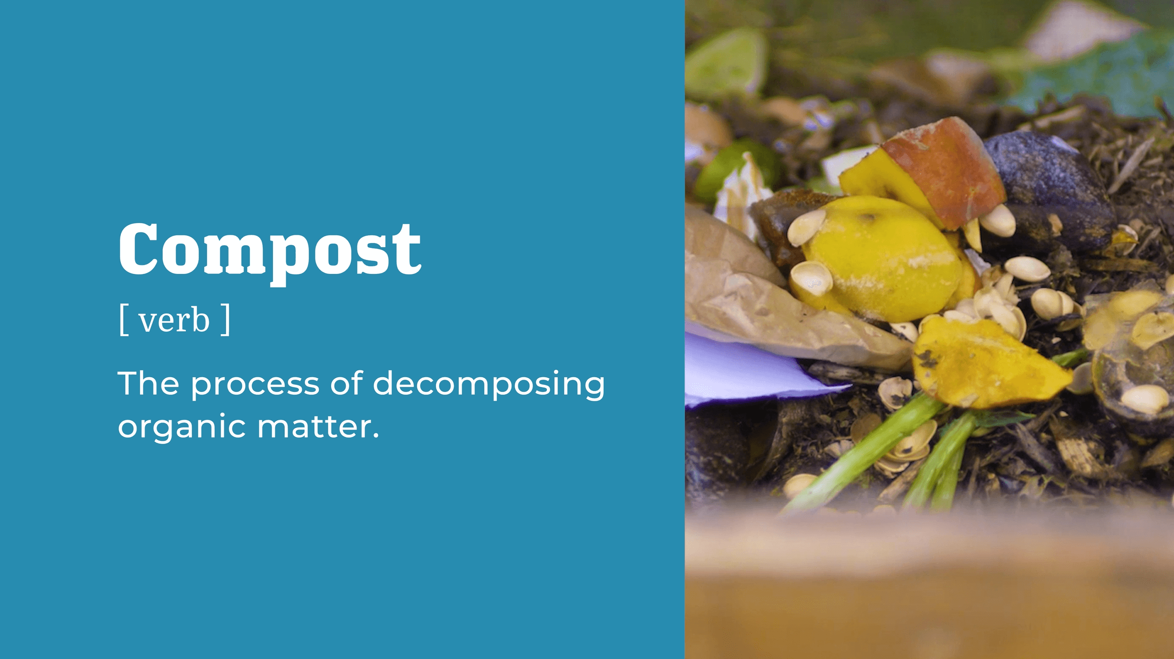 film-still-2-compost-definition